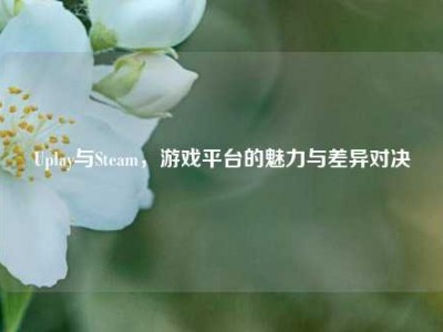 Uplay与Steam，游戏平台的魅力与差异对决