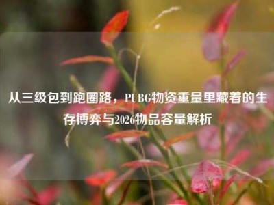 从三级包到跑圈路，PUBG物资重量里藏着的生存博弈与2026物品容量解析