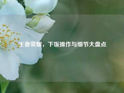 王者荣耀，下饭操作与细节大盘点