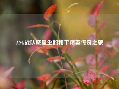 ANG战队晓星尘的和平精英传奇之旅