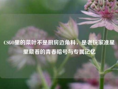 CSGO里的菜叶不是厨房边角料，是老玩家准星里藏着的青春暗号与专属记忆