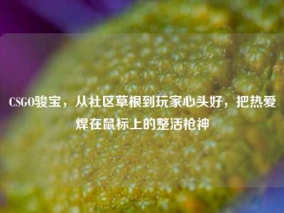 CSGO骏宝，从社区草根到玩家心头好，把热爱焊在鼠标上的整活枪神