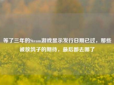 等了三年的Steam游戏显示发行日期已过，那些被放鸽子的期待，最后都去哪了