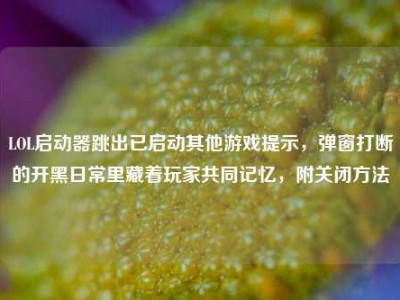 LOL启动器跳出已启动其他游戏提示，弹窗打断的开黑日常里藏着玩家共同记忆，附关闭方法