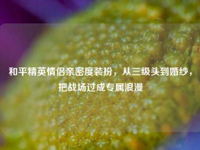 和平精英情侣亲密度装扮，从三级头到婚纱，把战场过成专属浪漫