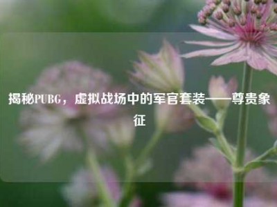 揭秘PUBG，虚拟战场中的军官套装——尊贵象征
