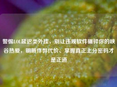 警惕LOL延迟类外挂，别让违规软件碾碎你的峡谷热爱，明晰作弊代价、掌握真正上分密码才是正道