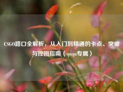 CSGO路口全解析，从入门到精通的卡点、突破与控图指南（ququ专属）
