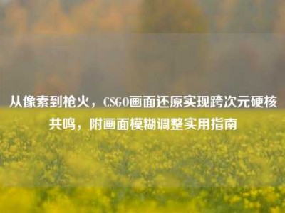 从像素到枪火，CSGO画面还原实现跨次元硬核共鸣，附画面模糊调整实用指南