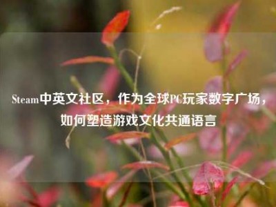 Steam中英文社区，作为全球PC玩家数字广场，如何塑造游戏文化共通语言