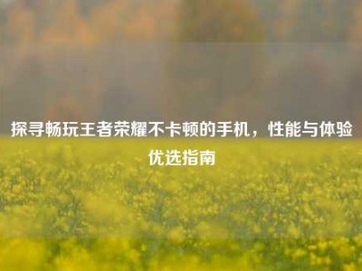 探寻畅玩王者荣耀不卡顿的手机，性能与体验优选指南