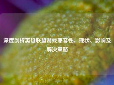 深度剖析英雄联盟游戏兼容性，现状、影响及解决策略