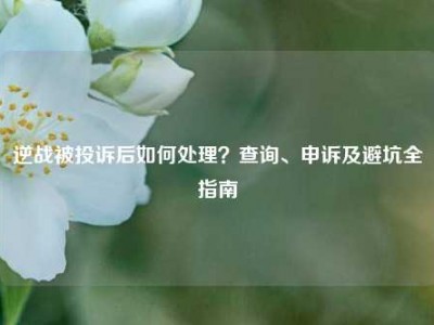 逆战被投诉后如何处理？查询、申诉及避坑全指南