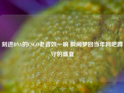 刻进DNA的CSGO老音效一响 瞬间梦回当年网吧蹲守的盛夏