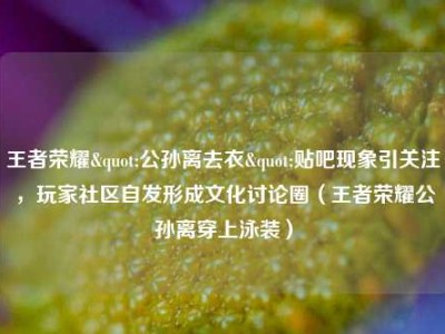 王者荣耀"公孙离去衣"贴吧现象引关注，玩家社区自发形成文化讨论圈（王者荣耀公孙离穿上泳装）