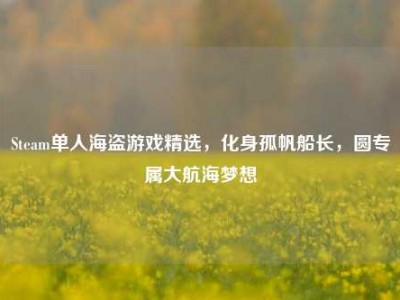 Steam单人海盗游戏精选，化身孤帆船长，圆专属大航海梦想