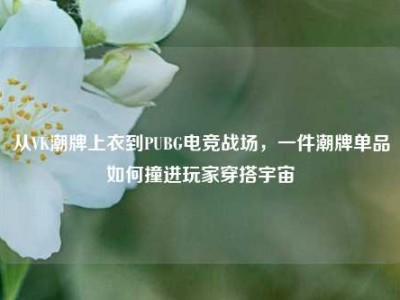 从VK潮牌上衣到PUBG电竞战场，一件潮牌单品如何撞进玩家穿搭宇宙