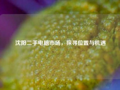 沈阳二手电脑市场，探寻位置与机遇