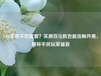 LOL手游不吃配置？实测百元机也能流畅开黑，堪称平民玩家福音