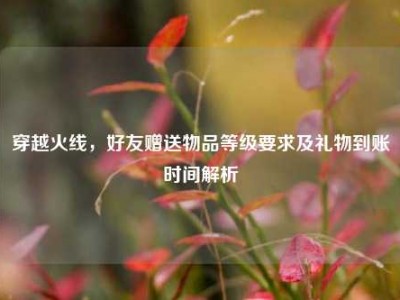 穿越火线，好友赠送物品等级要求及礼物到账时间解析