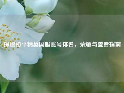 探秘和平精英国服账号排名，荣耀与查看指南