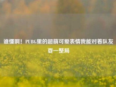 谁懂啊！PUBG里的超萌可爱表情我能对着队友耍一整局