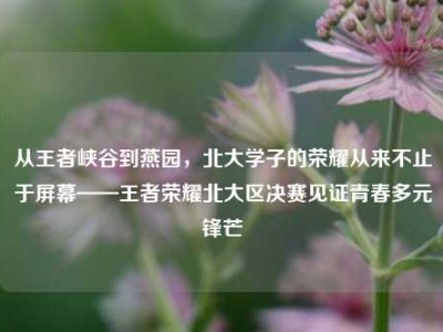 从王者峡谷到燕园，北大学子的荣耀从来不止于屏幕——王者荣耀北大区决赛见证青春多元锋芒