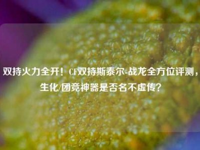 双持火力全开！CF双持斯泰尔-战龙全方位评测，生化/团竞神器是否名不虚传？