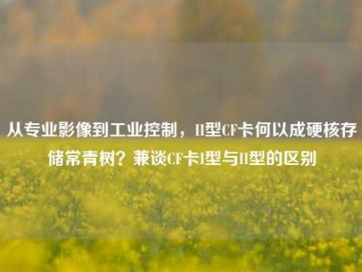 从专业影像到工业控制，II型CF卡何以成硬核存储常青树？兼谈CF卡I型与II型的区别