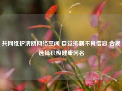 共同维护清朗网络空间 自觉抵制不良信息 合规选择积极健康网名