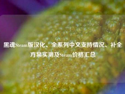 黑魂Steam版汉化、全系列中文支持情况、补全方案实测及Steam价格汇总