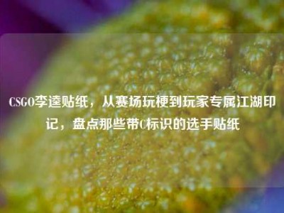 CSGO李逵贴纸，从赛场玩梗到玩家专属江湖印记，盘点那些带C标识的选手贴纸