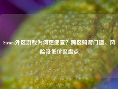 Steam外区游戏为何更便宜？跨区购游门道、风险及低价区盘点