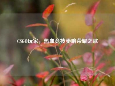 CSGO玩家，热血竞技奏响荣耀之歌
