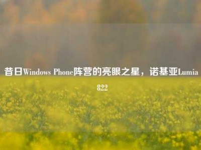 昔日Windows Phone阵营的亮眼之星，诺基亚Lumia 822