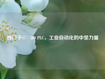 西门子S7 - 300 PLC，工业自动化的中坚力量