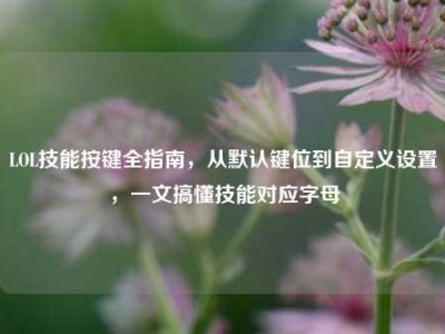 LOL技能按键全指南，从默认键位到自定义设置，一文搞懂技能对应字母