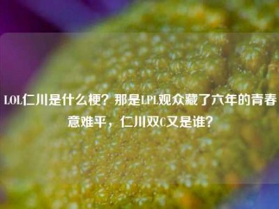 LOL仁川是什么梗？那是LPL观众藏了六年的青春意难平，仁川双C又是谁？