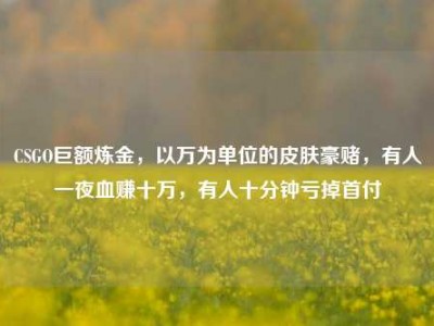CSGO巨额炼金，以万为单位的皮肤豪赌，有人一夜血赚十万，有人十分钟亏掉首付