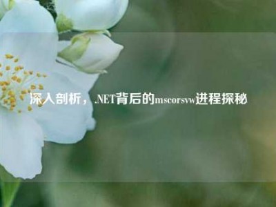 深入剖析，.NET背后的mscorsvw进程探秘