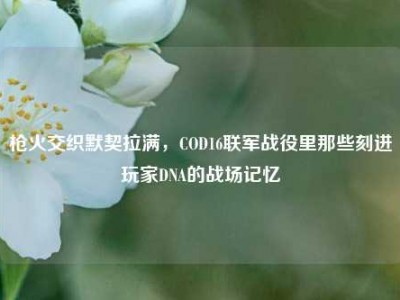 枪火交织默契拉满，COD16联军战役里那些刻进玩家DNA的战场记忆