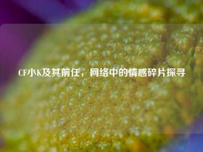 CF小K及其前任，网络中的情感碎片探寻