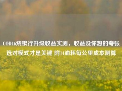 COD16烧银行升级收益实测，收益没你想的夸张选对模式才是关键 附14油耗每公里成本测算