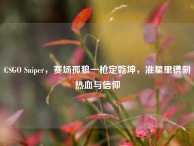 CSGO Sniper，赛场孤狼一枪定乾坤，准星里镌刻热血与信仰