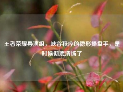 王者荣耀导演组，峡谷秩序的隐形操盘手，是时候彻底清场了