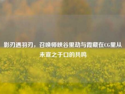 影刃遇羽刃，召唤师峡谷里劫与霞藏在CG里从未宣之于口的共鸣