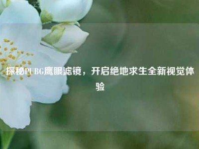 探秘PUBG鹰眼滤镜，开启绝地求生全新视觉体验