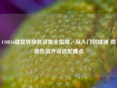 COD16键鼠转换器设置全指南，从入门到精通 彻底告别外设适配痛点