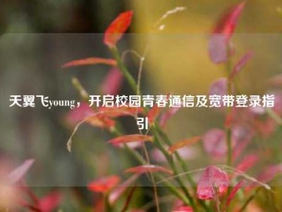 天翼飞young，开启校园青春通信及宽带登录指引