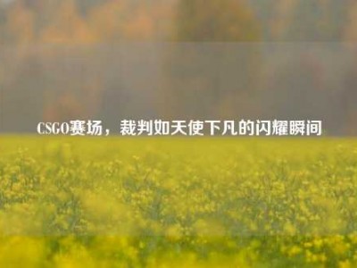 CSGO赛场，裁判如天使下凡的闪耀瞬间